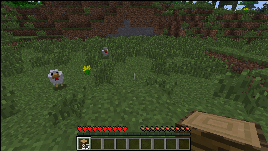 minecraft minecraft
