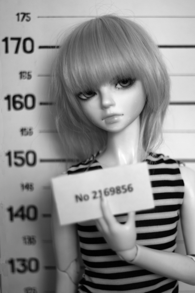  photo 5_zps2efc9485.png