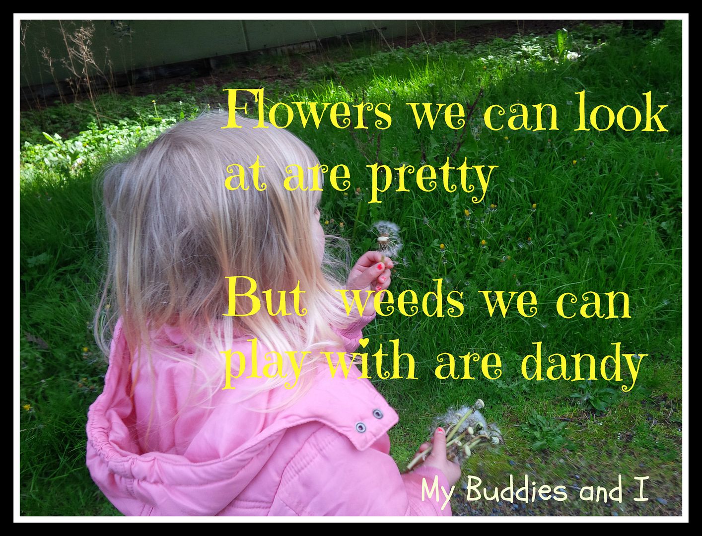 Flowers and Weeds photo DANDYLION-1.jpg
