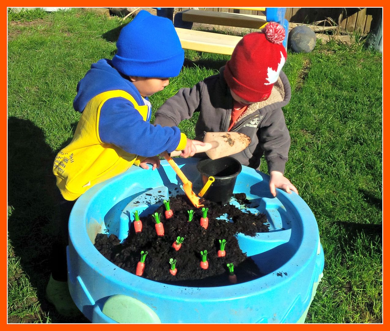 photo kidsandcarrots-1.jpg
