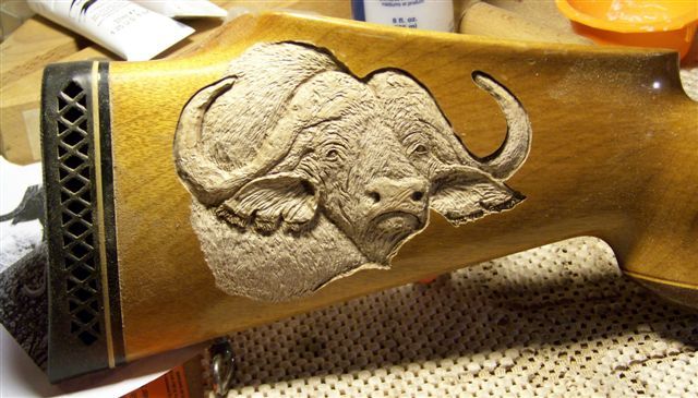 cape-buffalo-head-study-image_zpsso1abke