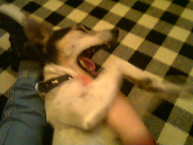 Foto0374.jpg