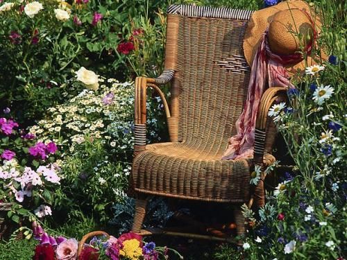  photo Cedwyn Chair in the garden_zpswvzq2uto.jpg