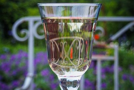  photo Cedwyn glass of wine in the garden_zpsr1jegvsl.jpg