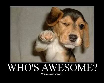 Awesome Motivational Poster on Whos Awesome Funny Motivational Poster Jpg Picture By Cr010411