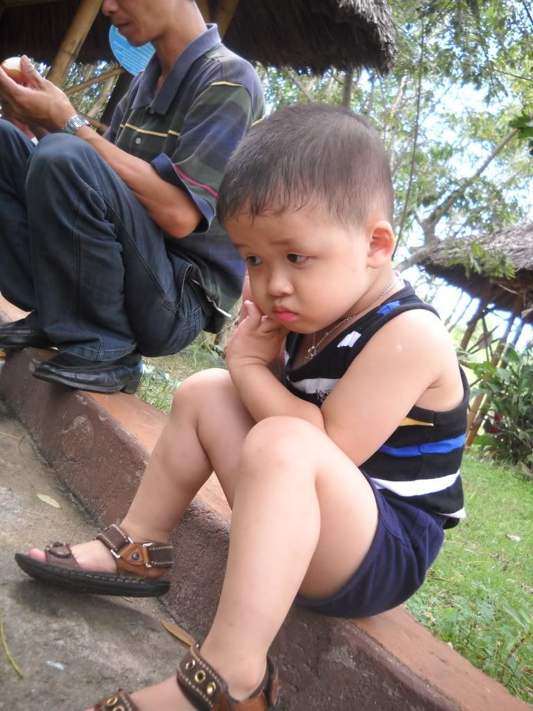 Vào show hàng các cục cưng của mình nè!