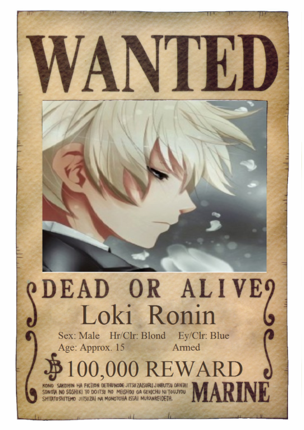 One_Piece_Wanted_Poster_by_ei819-1.png