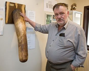 Thăm bảo tàng lưu giữ hơn 260 “của quý” - 2