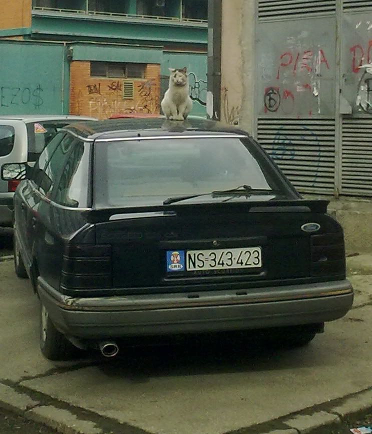 Slika