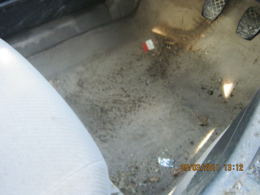 IMG_0152.jpg?t=1301064613