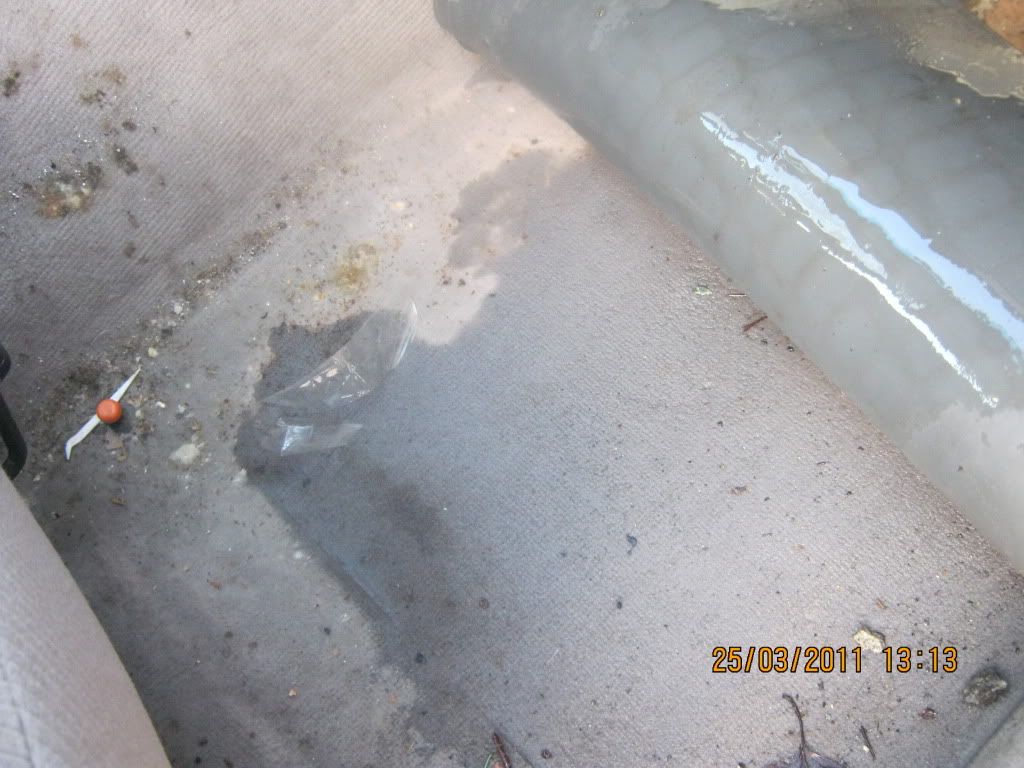 IMG_0153.jpg?t=1301064613