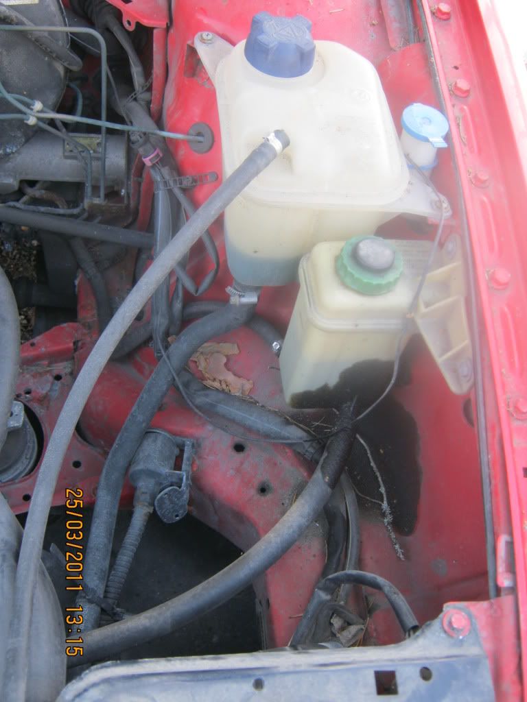 IMG_0158.jpg?t=1301064613