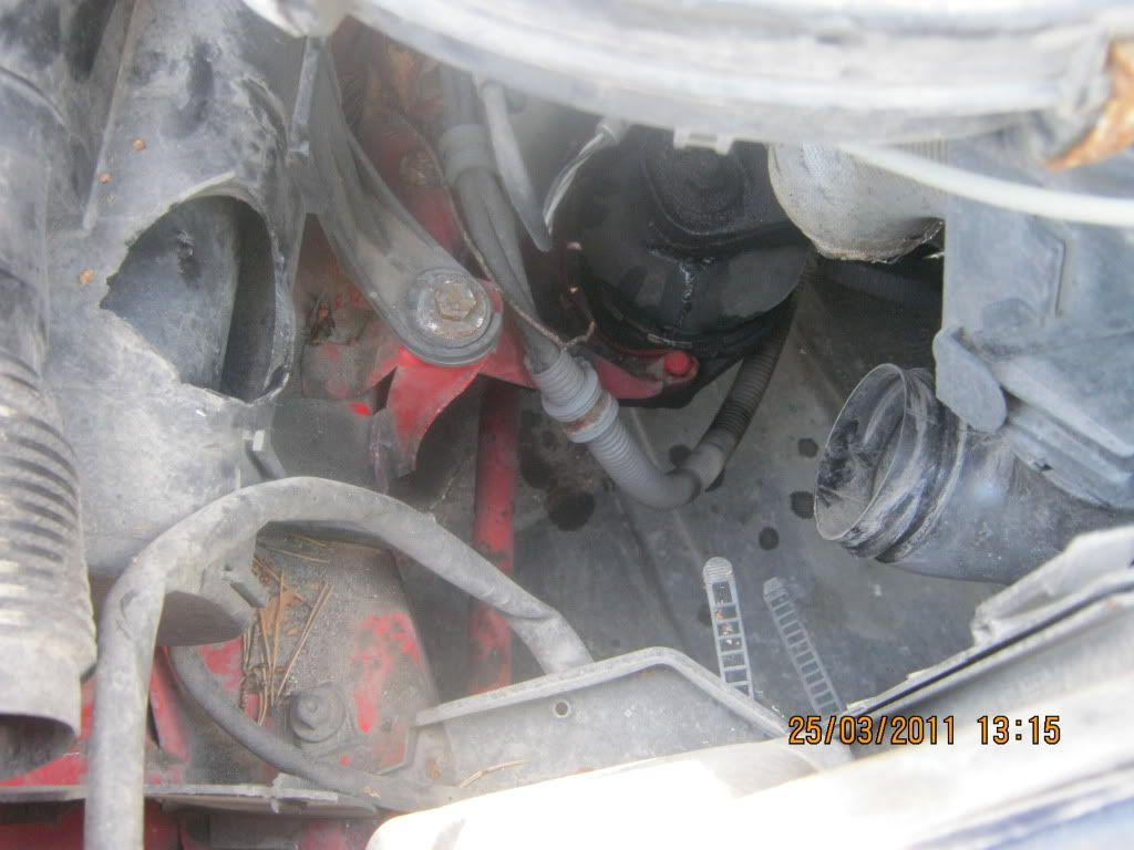 IMG_0161.jpg?t=1301064797