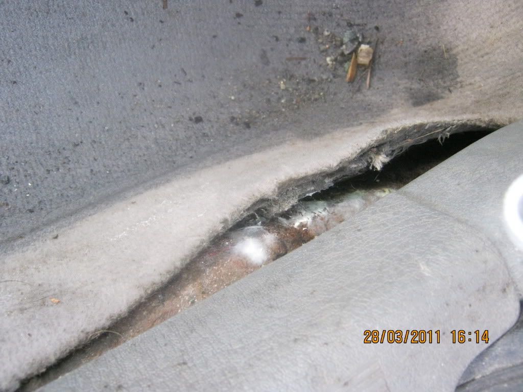 IMG_0163.jpg?t=1301346987