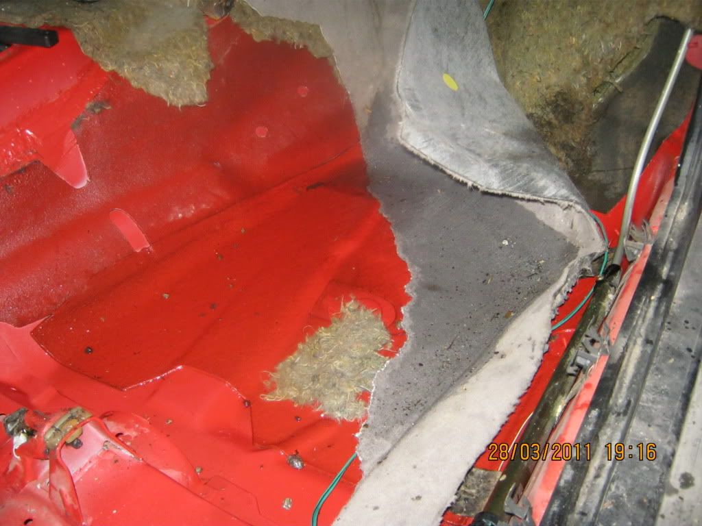 IMG_0184.jpg?t=1301347272