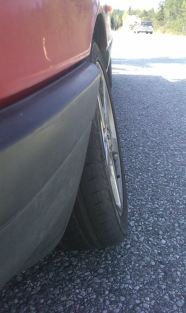 IMAG0133.jpg?t=1304087037