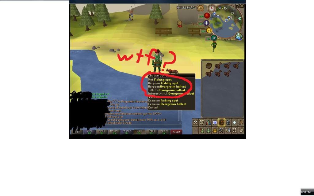 Harpoon? r/runescape