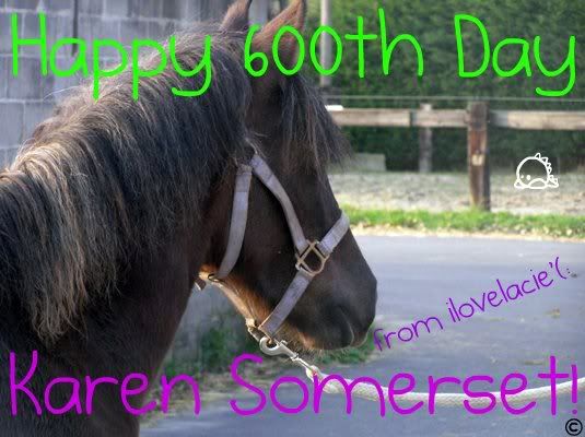 karensomersets600thdaybanner.jpg