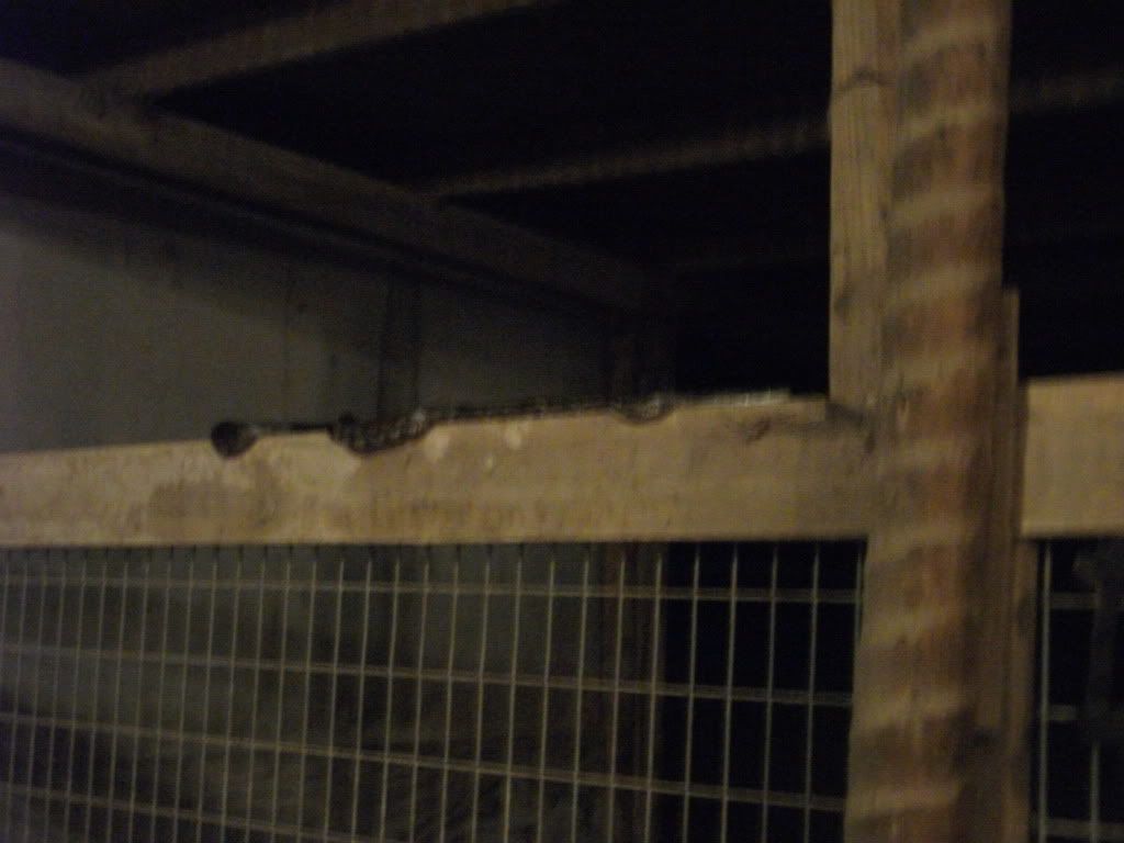 Spring is officially here (warning slithering something photo) - Countryside Families