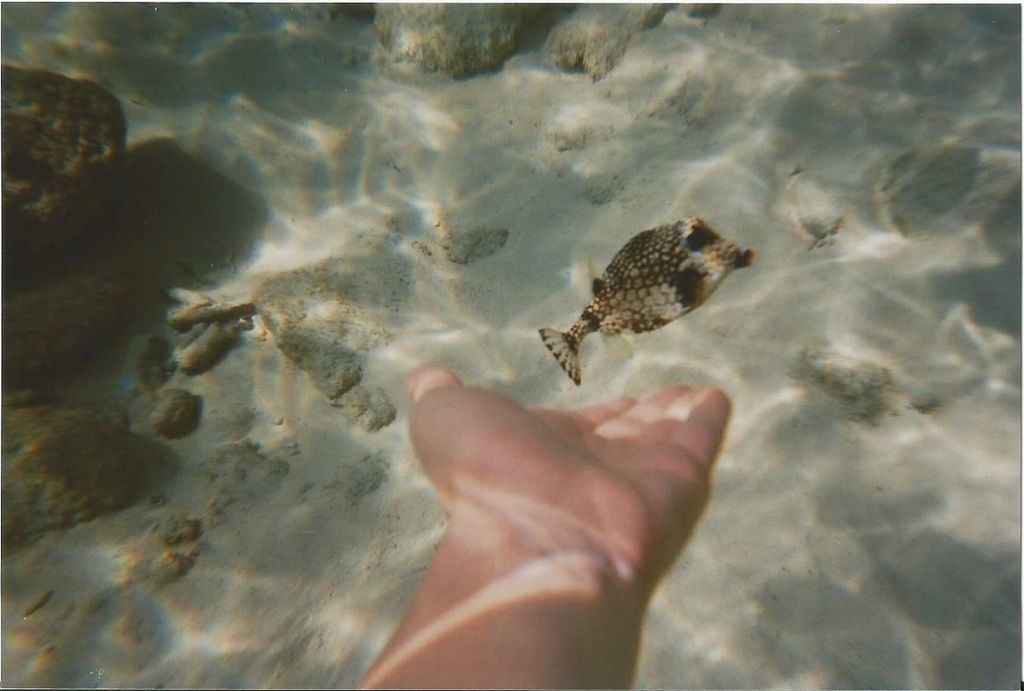 curacao