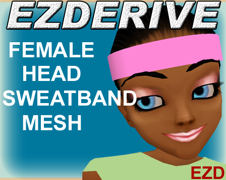 EZDerive Female Head Sweatband Mesh