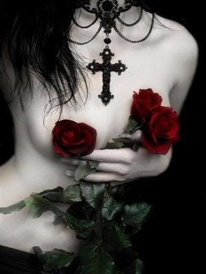 rose mistress Pictures, Images and Photos