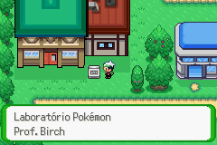 PokemonFloraSkyFinalMainVersion-9_zpsc16