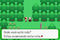 PokemonFloraSkyFinalMainVersion-Coacutep