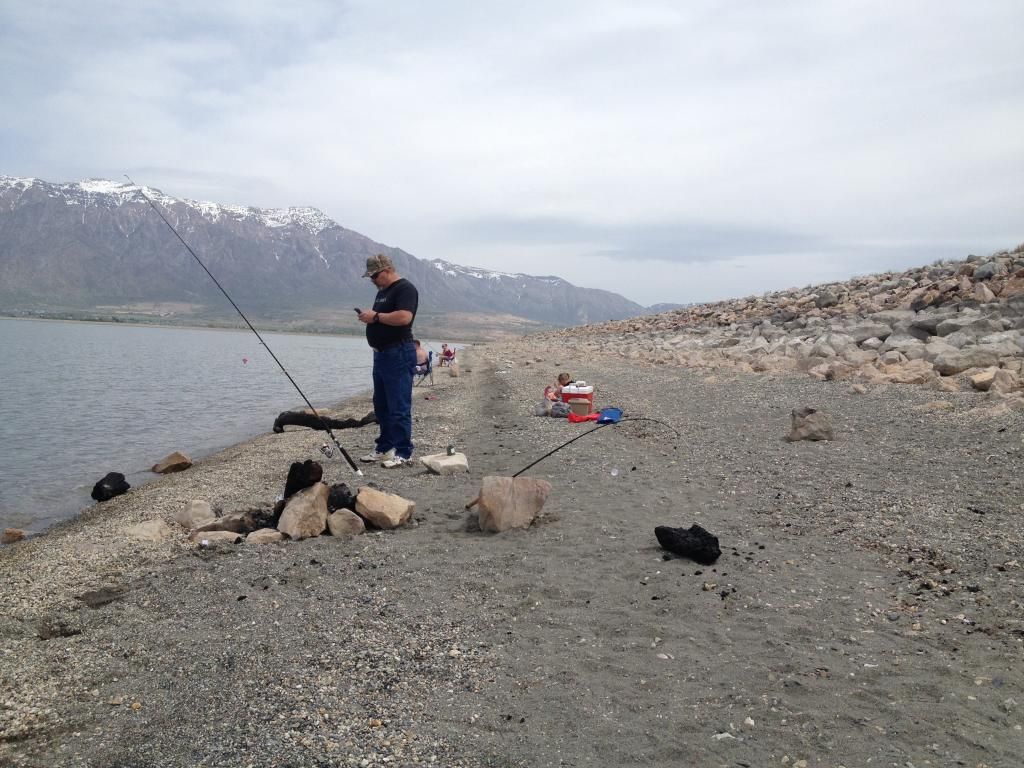 Willard Bay Wiper Fishing