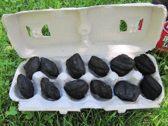 Charcoal Carrier and starter