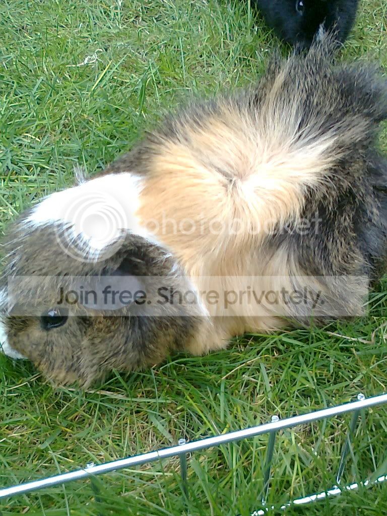 Photo0309.jpg