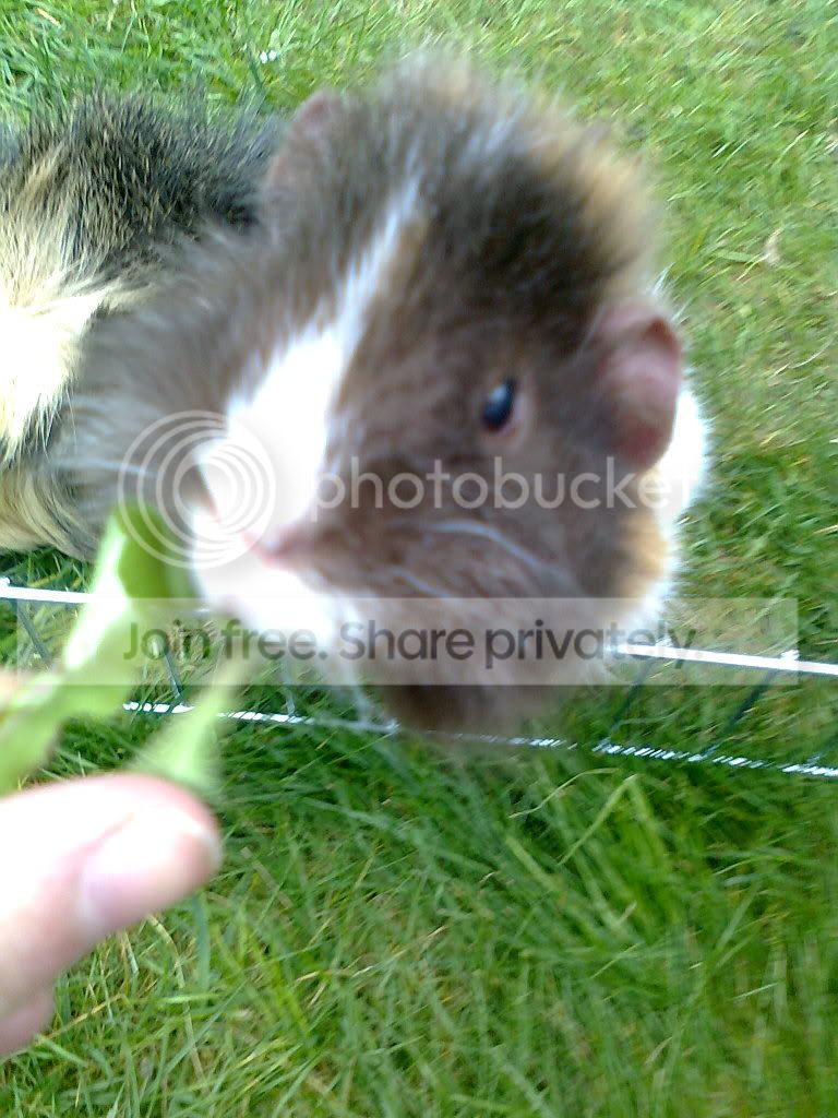 Photo0313.jpg