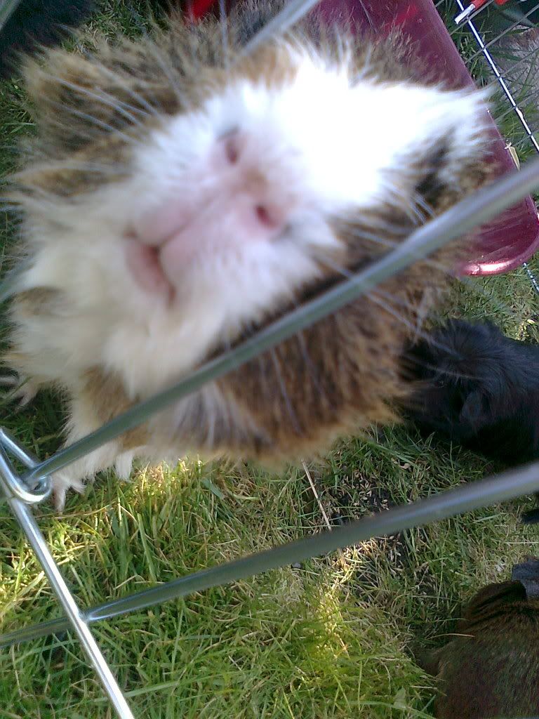 Photo0642.jpg