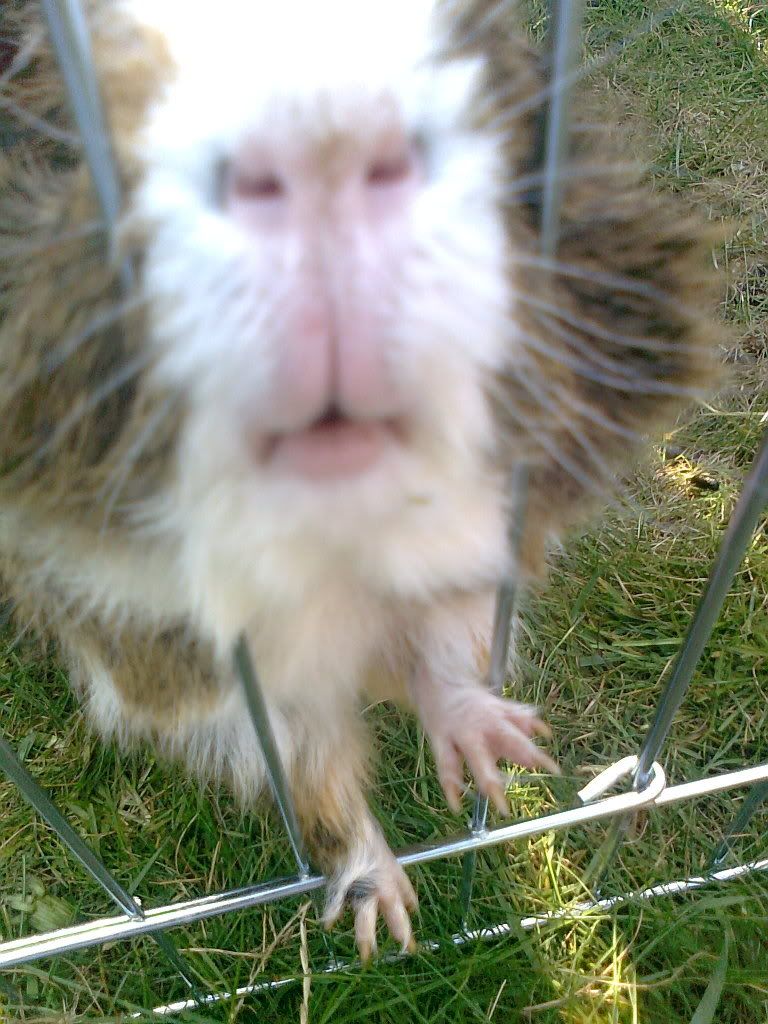 Photo0651.jpg
