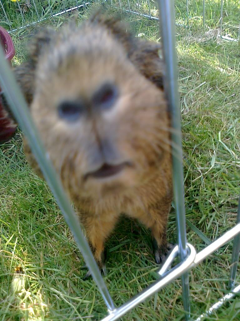 Photo0659.jpg
