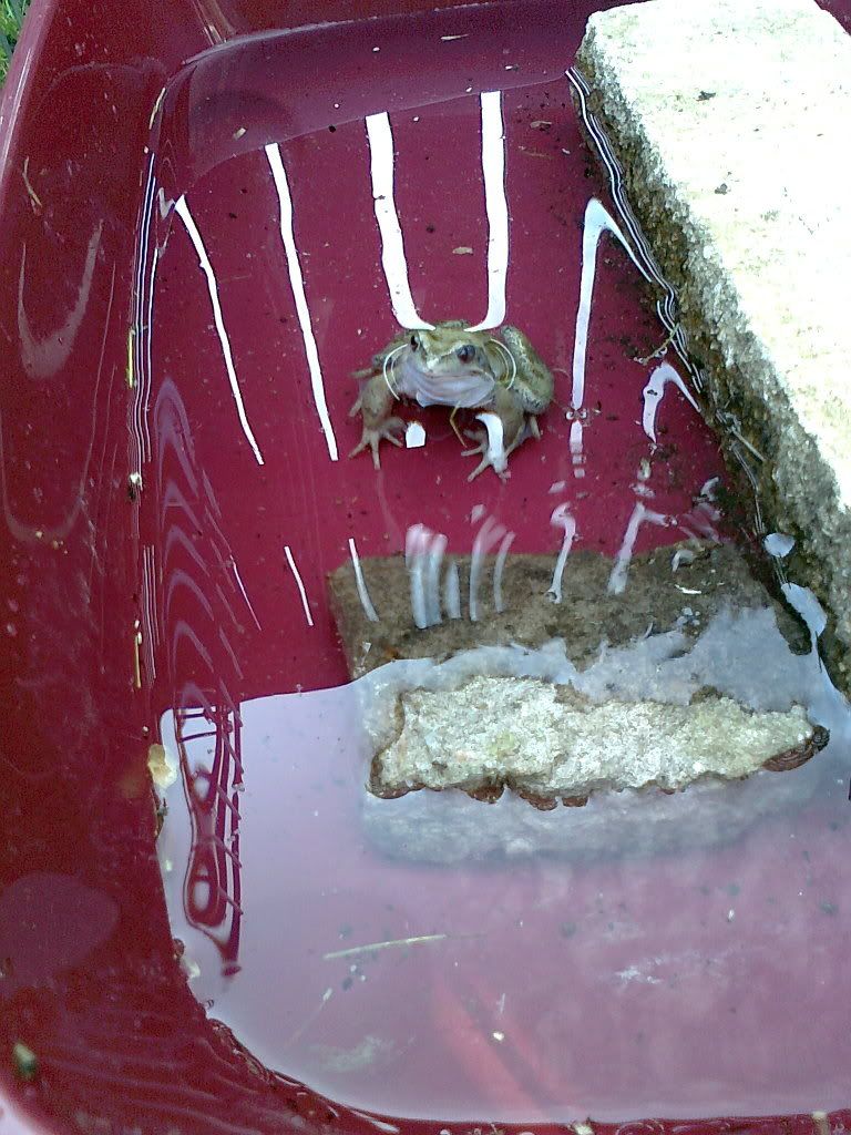 Photo0675.jpg
