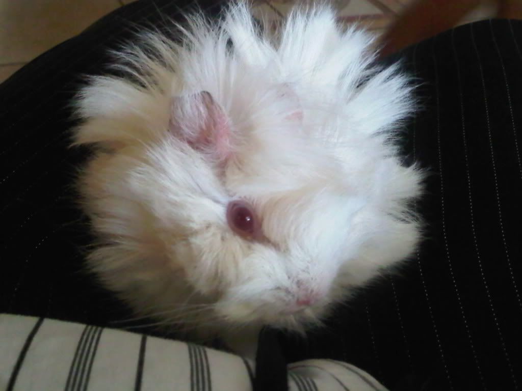 IMG00279-20110322-1655.jpg