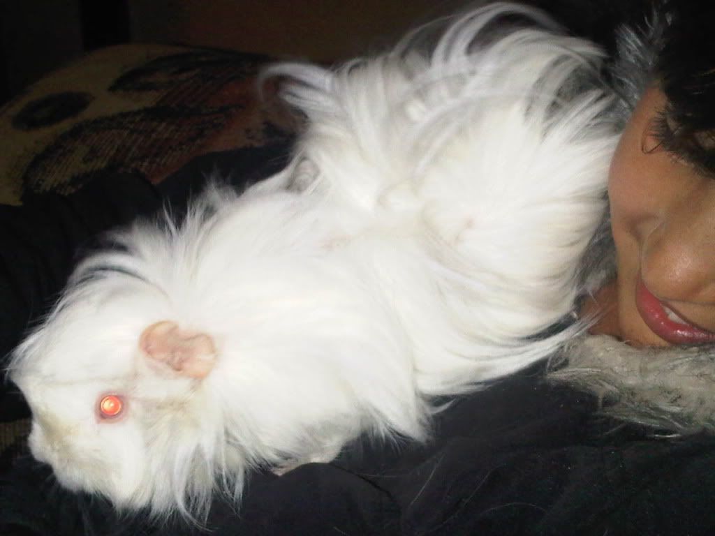 IMG00413-20110706-1820.jpg