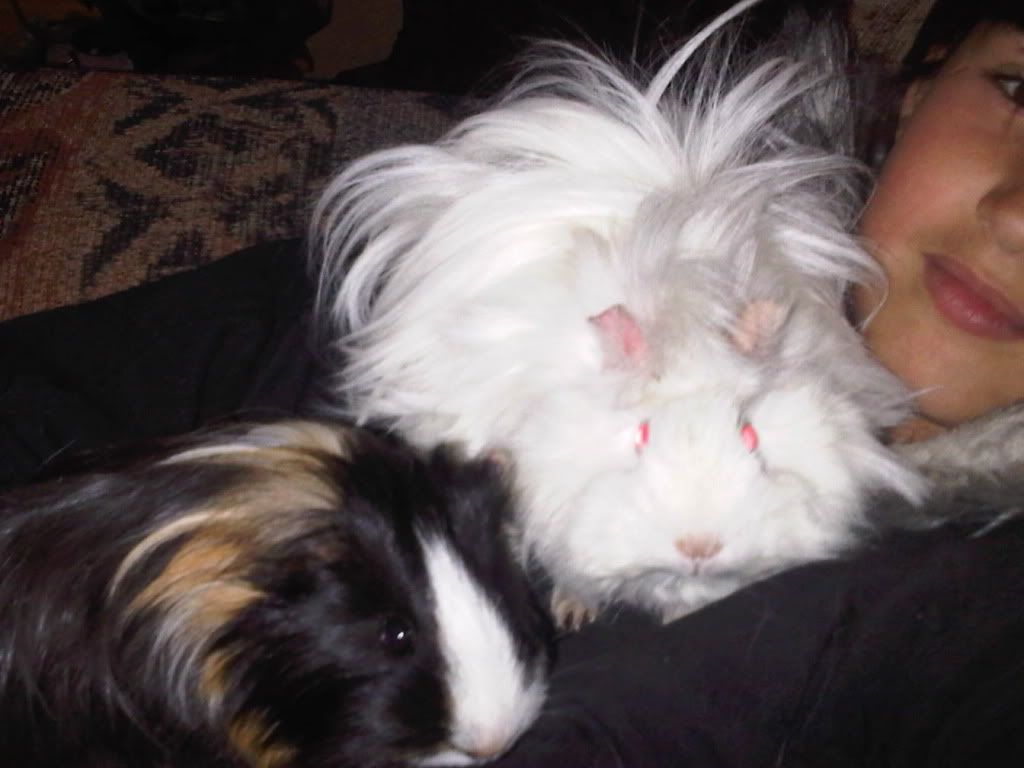 IMG00415-20110706-1820.jpg