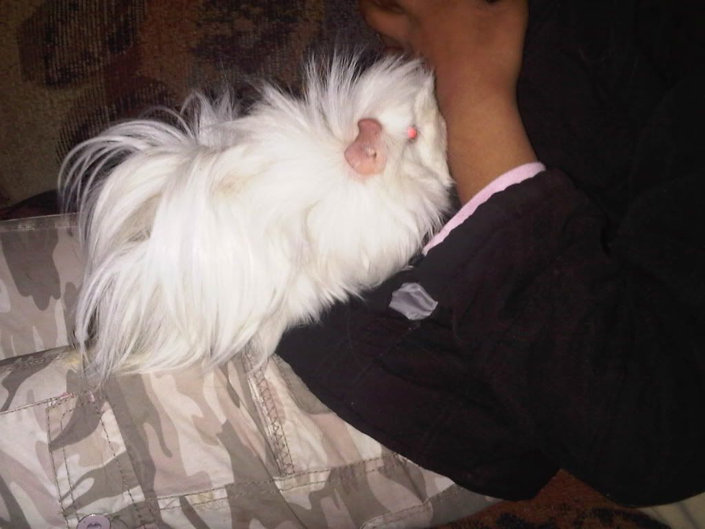 IMG00425-20110706-1822.jpg