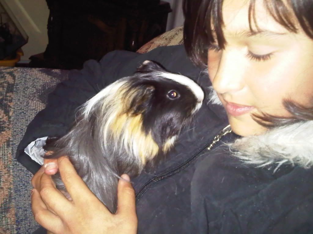 IMG00426-20110706-1822.jpg