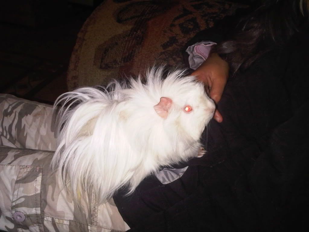 IMG00432-20110706-1825.jpg