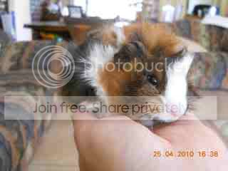 Squeek_001.jpg