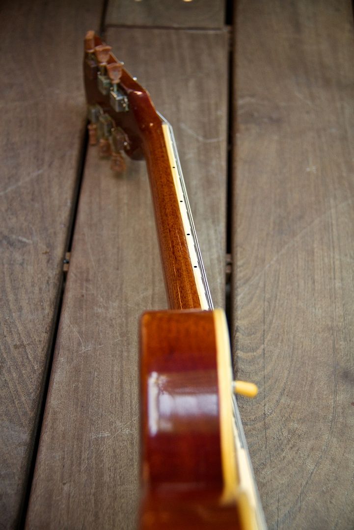 IMG_6463.jpg